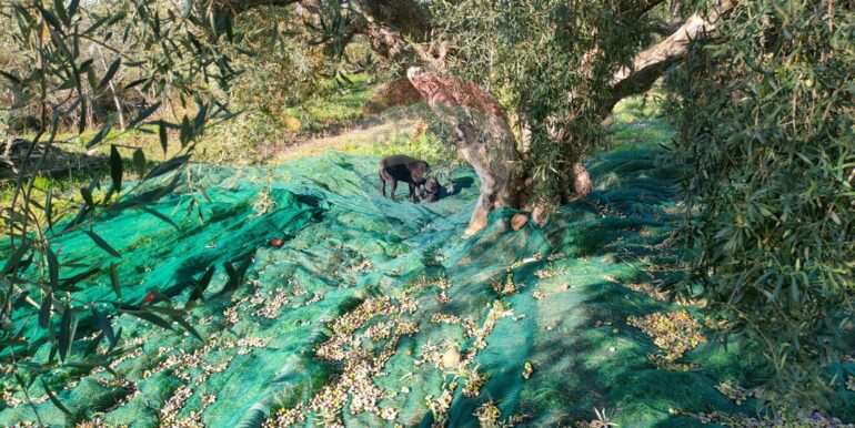 20250825122104-975545-7