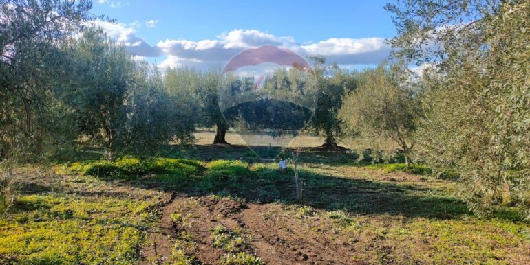 20250825122104-975545-8