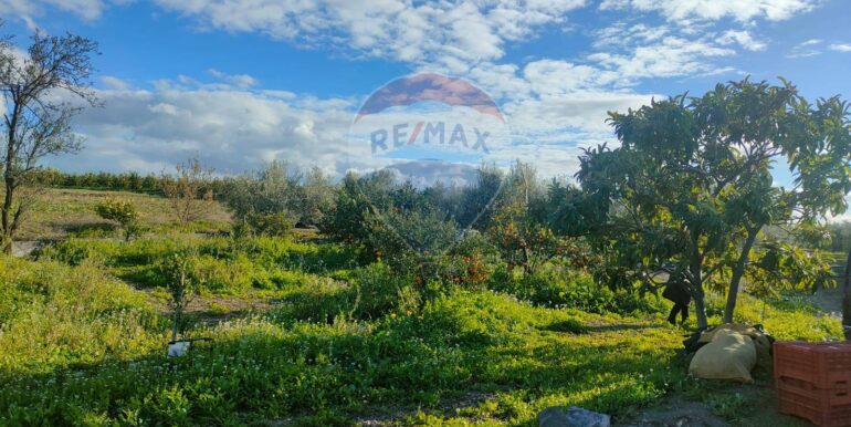 20250825122105-975545-10