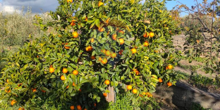 20250825122106-975545-12