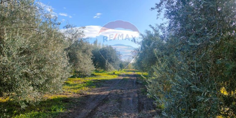 20250825122106-975545-14