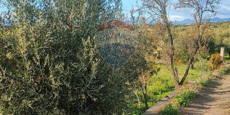 20250825122107-975545-15