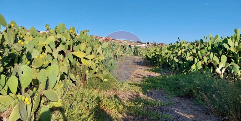 20250902131637-977217-5