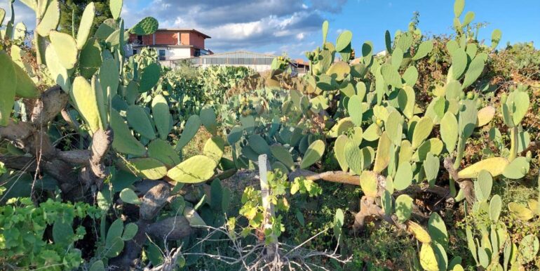 20250902131639-977217-6