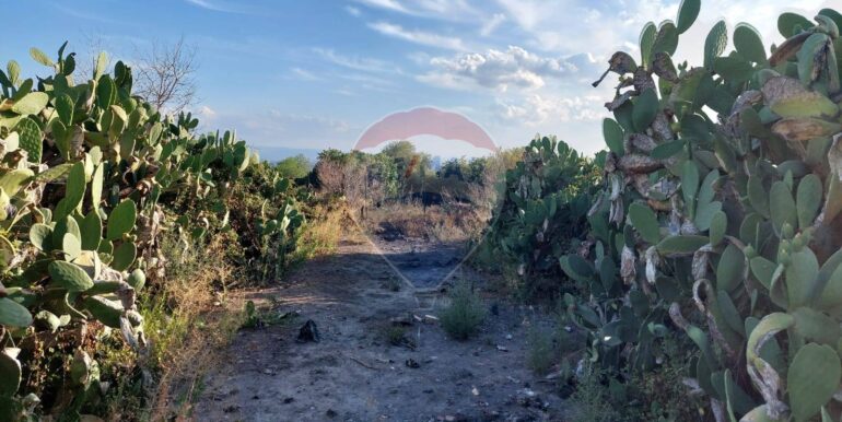 20250902131641-977217-7