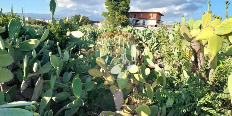 20250902131643-977217-8