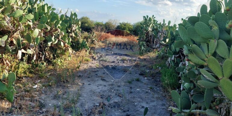 20250902131645-977217-9