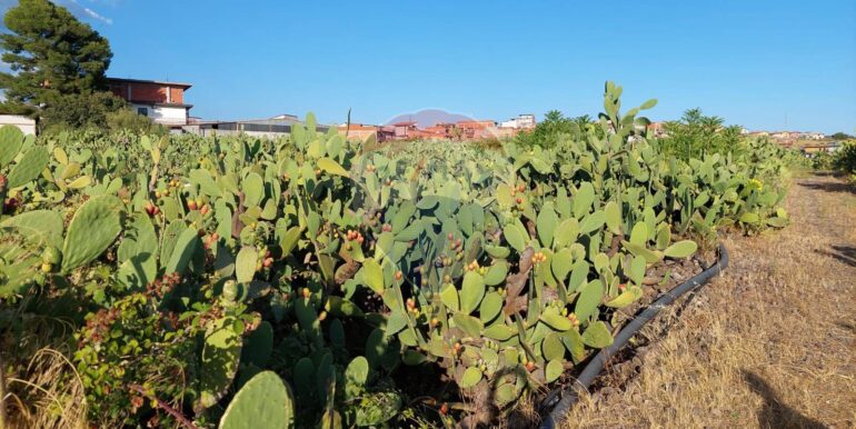 20250902131656-977217-14