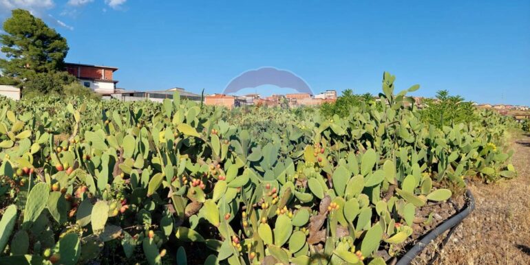 20250902131658-977217-15