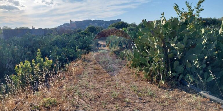 20250902131700-977217-16