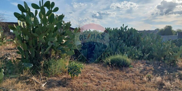 20250902131706-977217-19