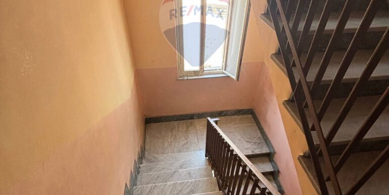 2025090481749-977709-14