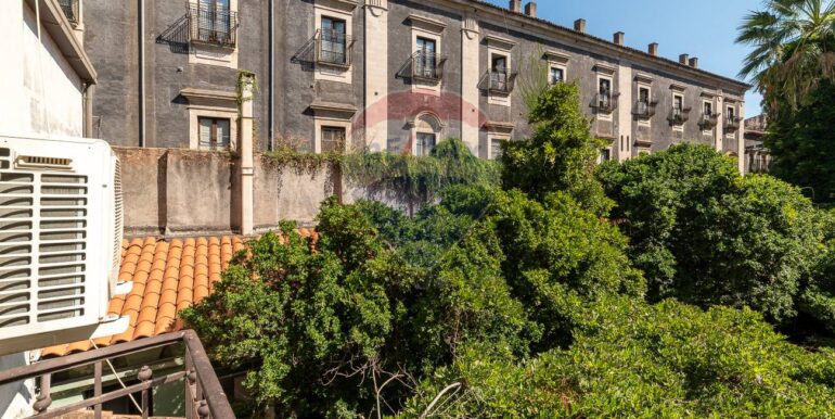 2025090484532-977711-8