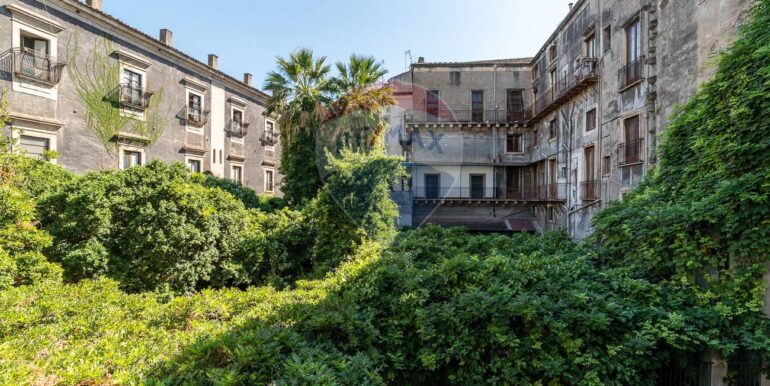 2025090484601-977711-17