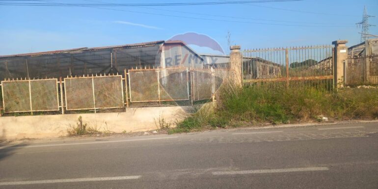 2025090592114012944108