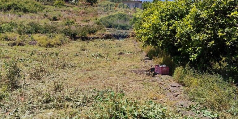 2025090781548-979646-1