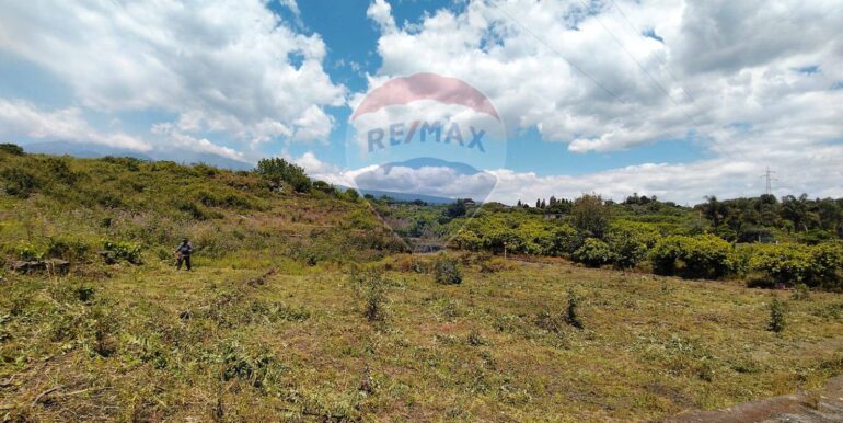 2025090781552-979646-2