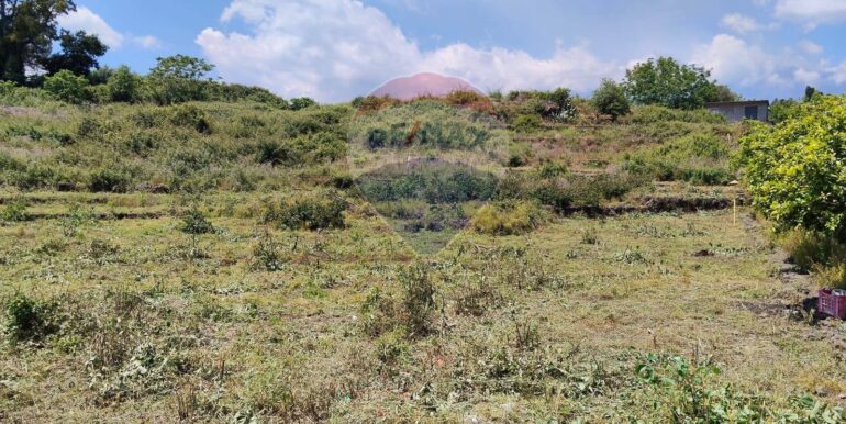 2025090781556-979646-3