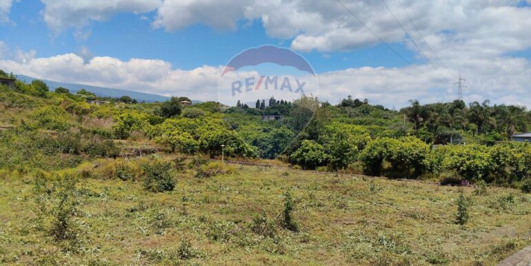 2025090781559-979646-4