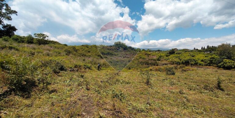 2025090781603-979646-5