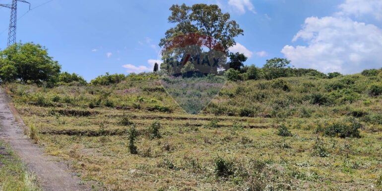 2025090781610-979646-7