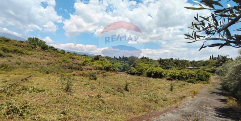 2025090781613-979646-8