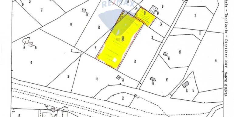 2025090781841-979646-9