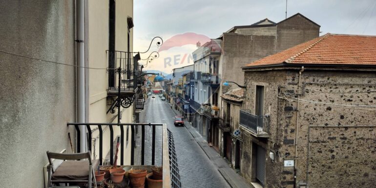 2025090792411-979649-3