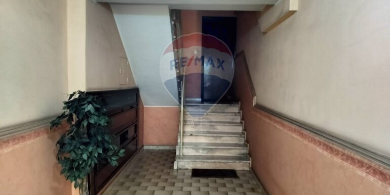 2025090792412-979649-5