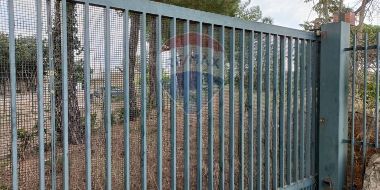 20250911184104-979689-1