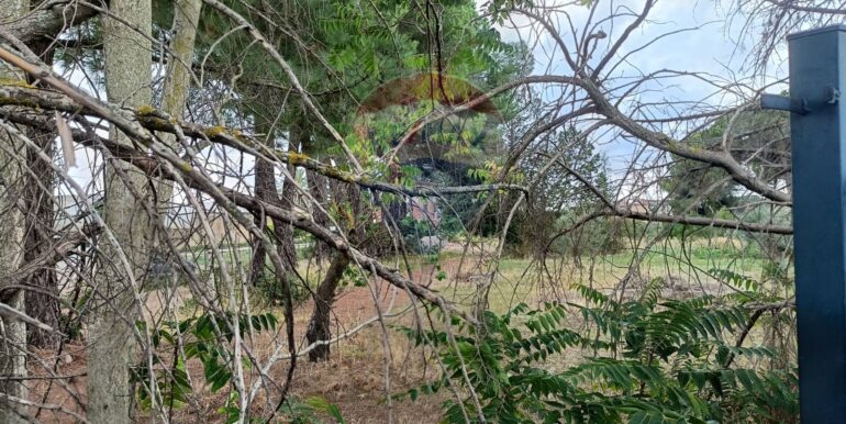 20250911184114-979689-3