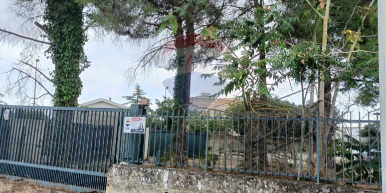 20250911184128-979689-6