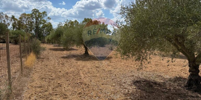 20250919161534-985907-3