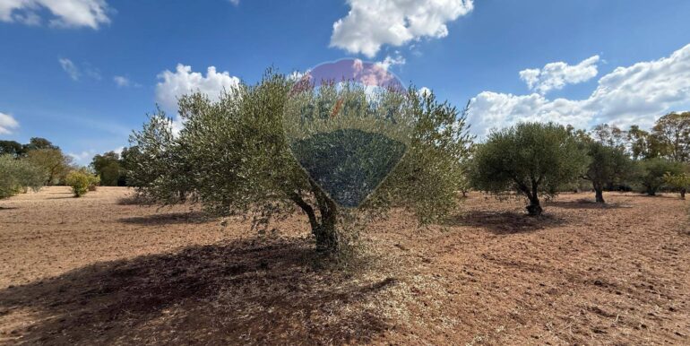 20250919161540-985907-5