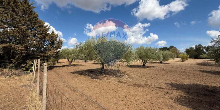 20250919161543-985907-6