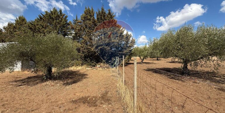 20250919161546-985907-7