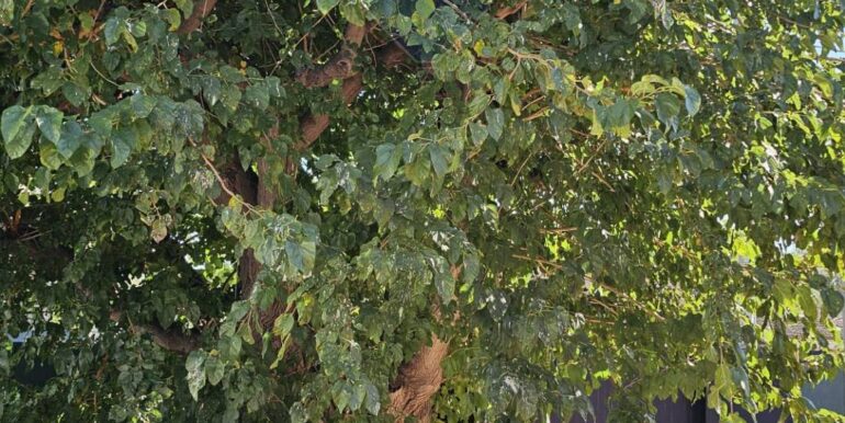 20250920181149-985423-22