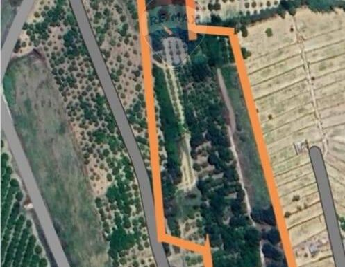 20250925221244-987794-8