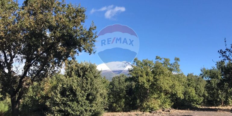 20250926151531-957963-4