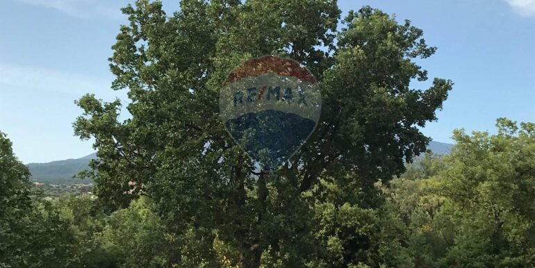 20250926151536-957963-6