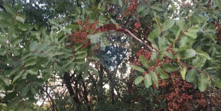 20250926151539-957963-7