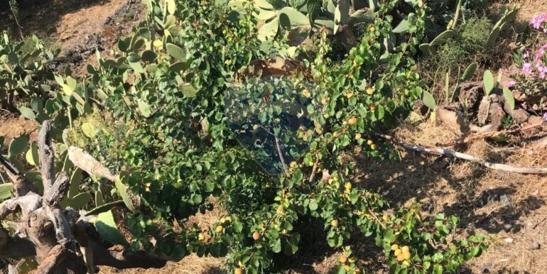 20250926151544-957963-9