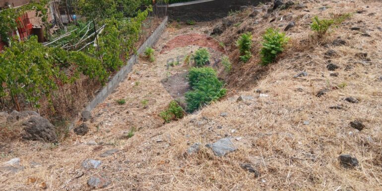 20250926193151-988779-7