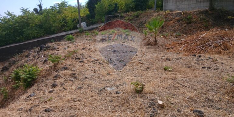 20250926193157-988779-8