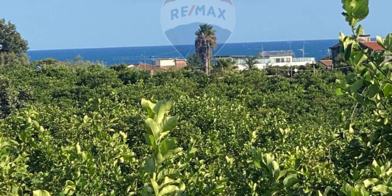 2025092694151-986654-3