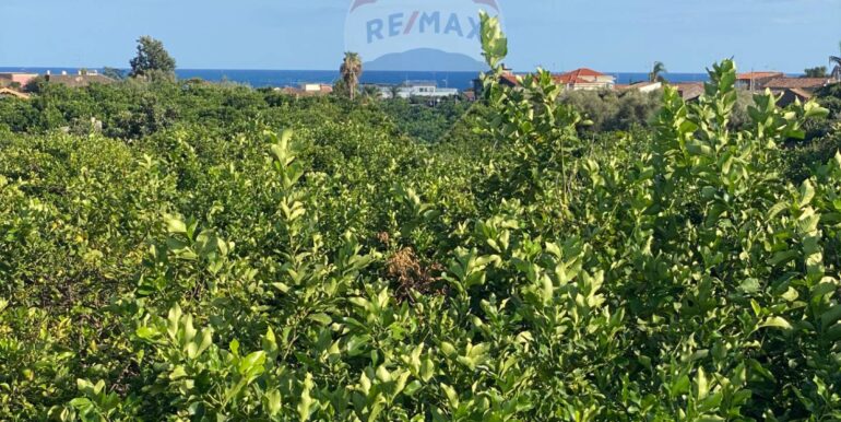 2025092694156-986654-4