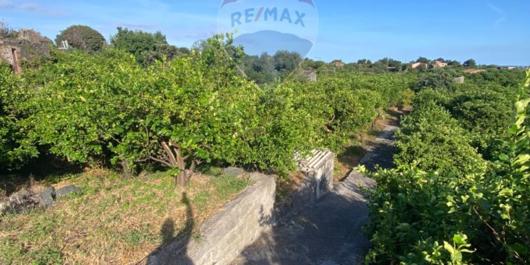 2025092694209-986654-7