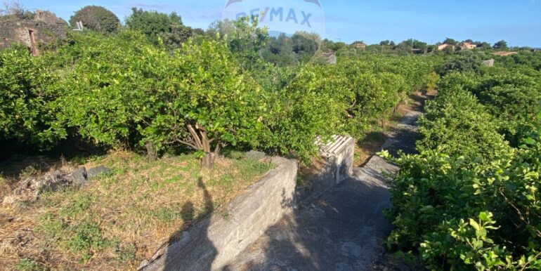 2025092694213-986654-8