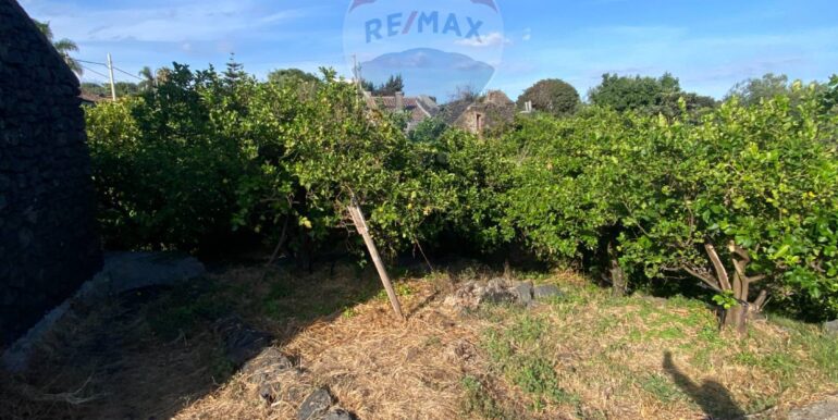 2025092694218-986654-9