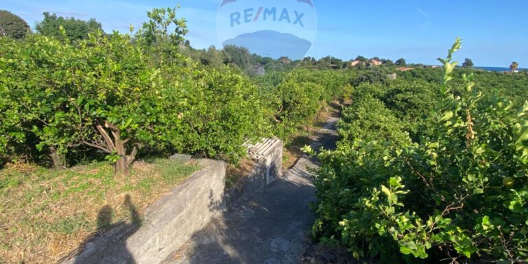 2025092694222-986654-10